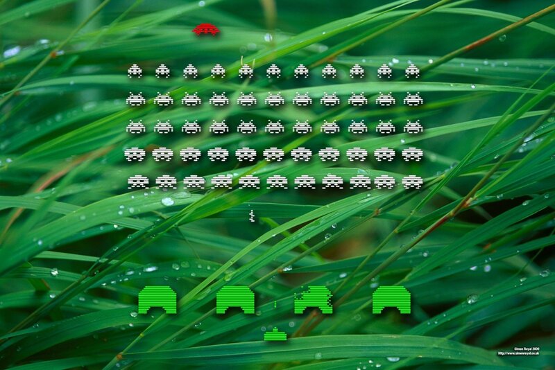 Grass with Water Droplets — Green, Calm, Morning