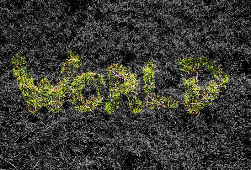 Grass with Word World