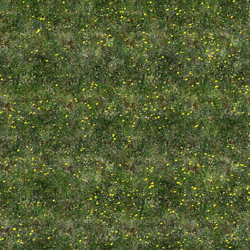 Grass with yellow flowers