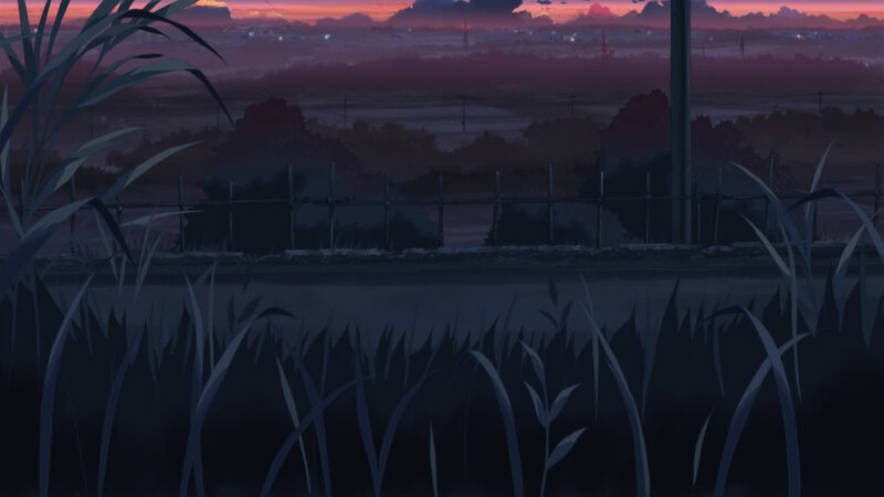 Grasses at Dusk