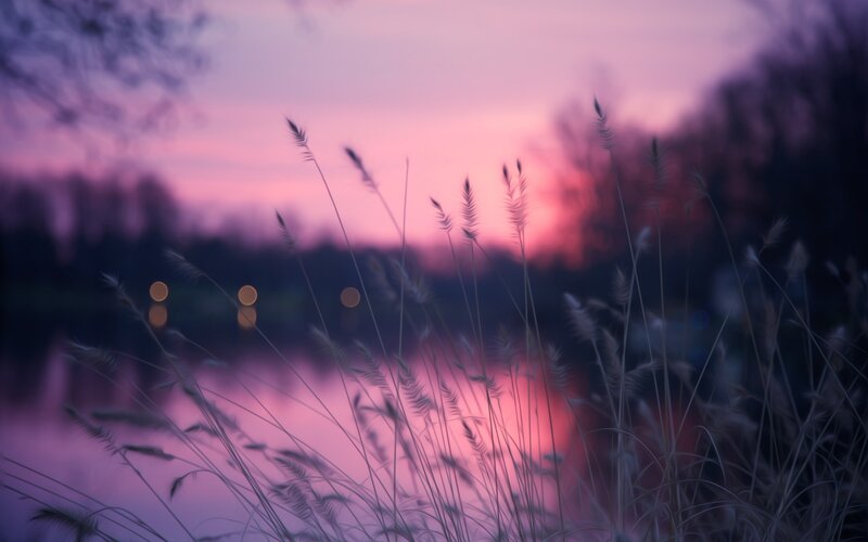 Grasses at Sunset — Purple, Serene, Photograph