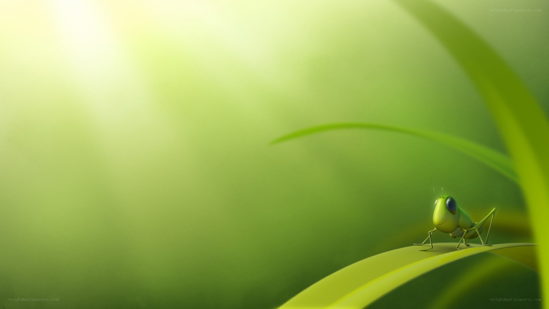 Grasshopper on a leaf