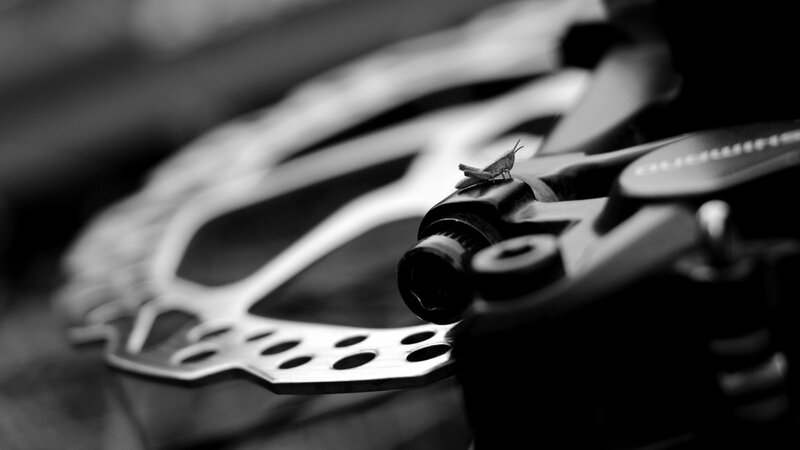 Grasshopper on Brake Caliper