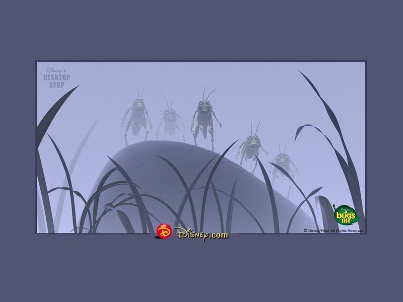 grasshoppers on a hill