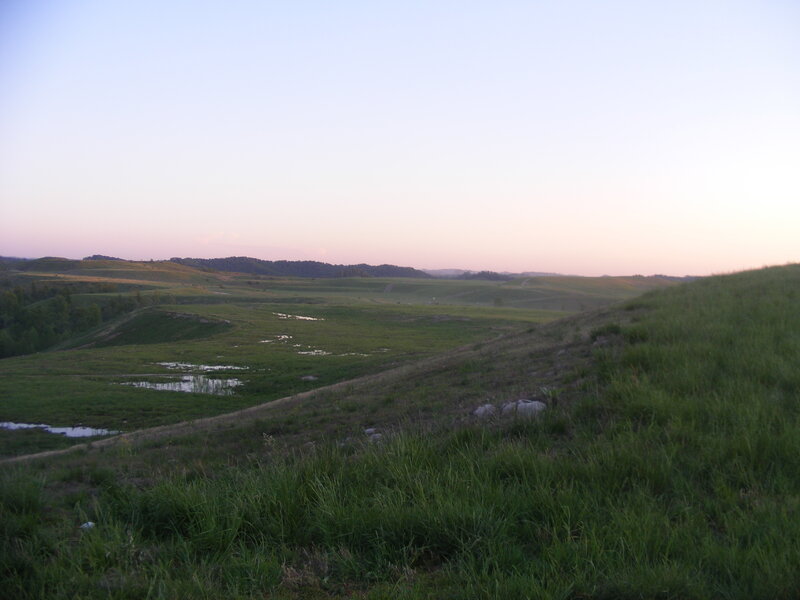 Grassland at dusk