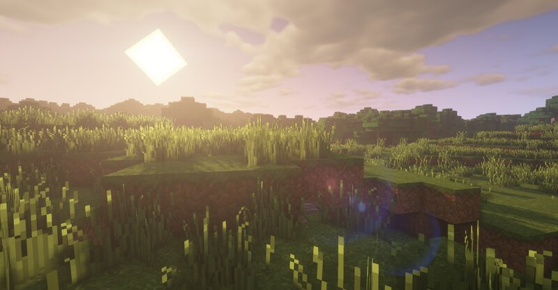 Grassland Biome in Game