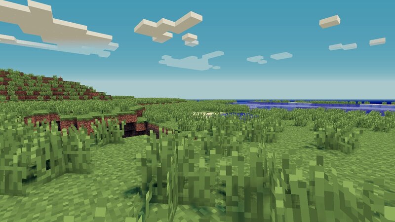 Grassland Biome
