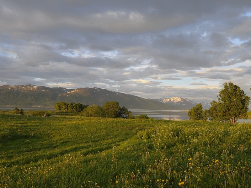 Grassland by a fjord at dusk