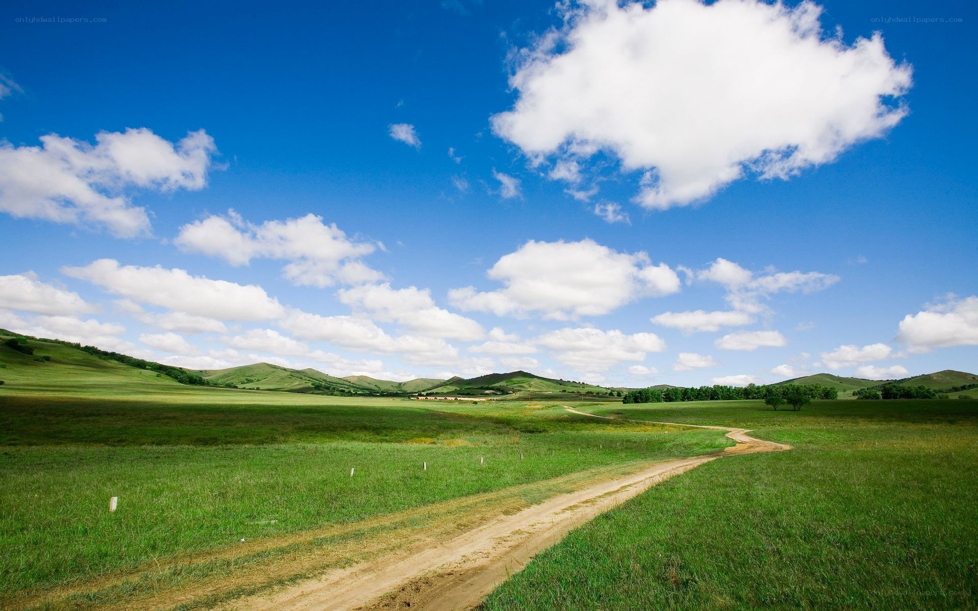 Grassland path under blue sky
