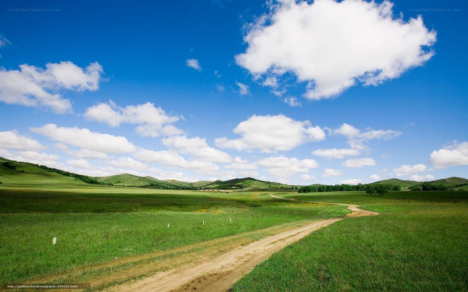 Grassland path under blue sky