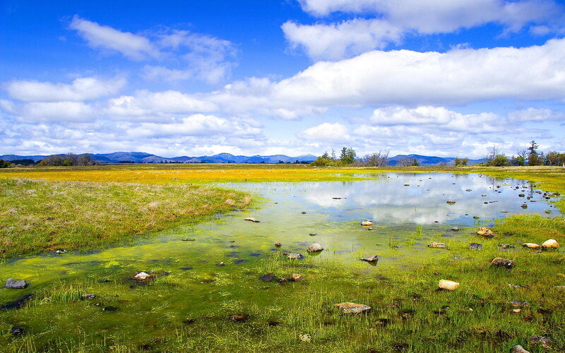 Grassland pond with mountains