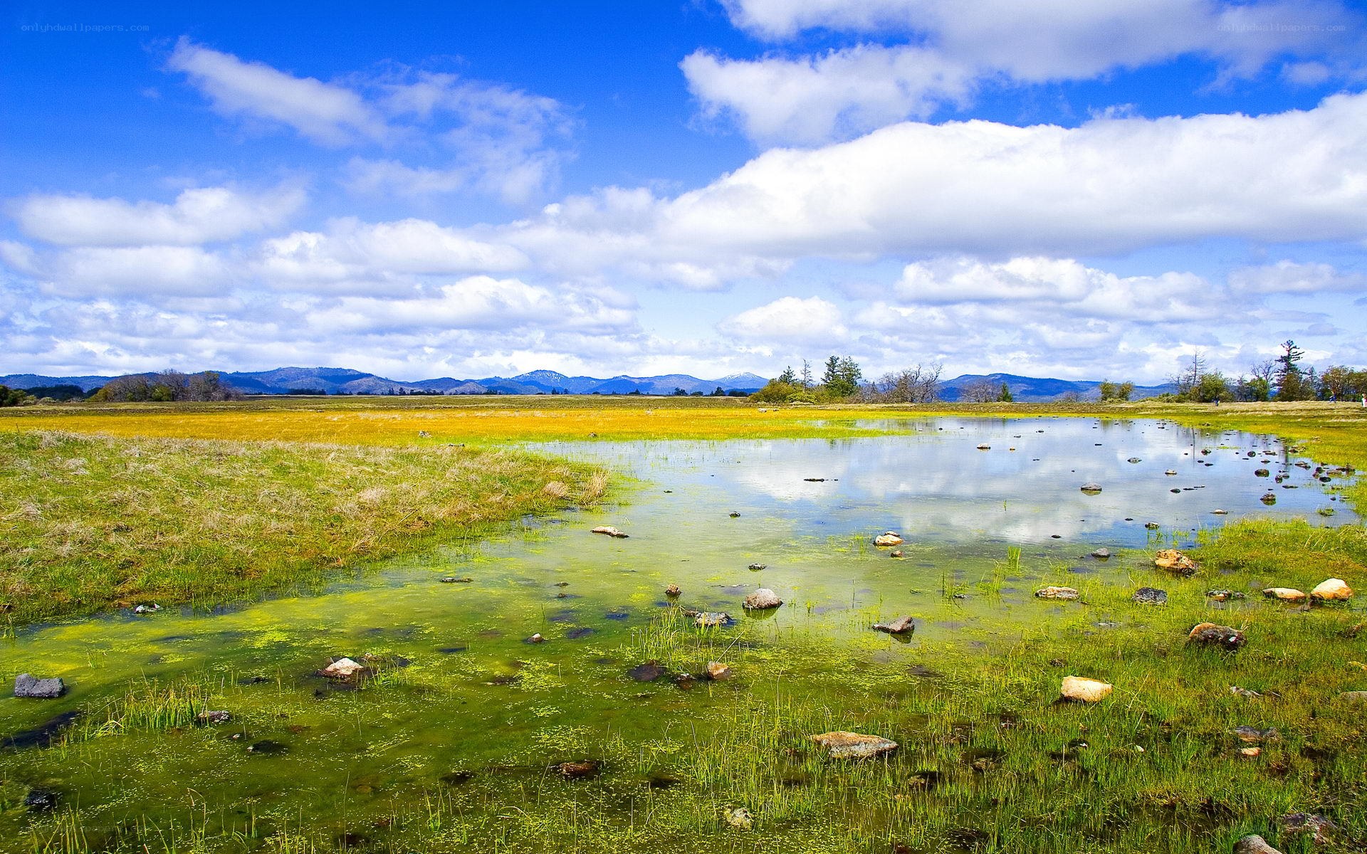 Grassland pond with mountains
