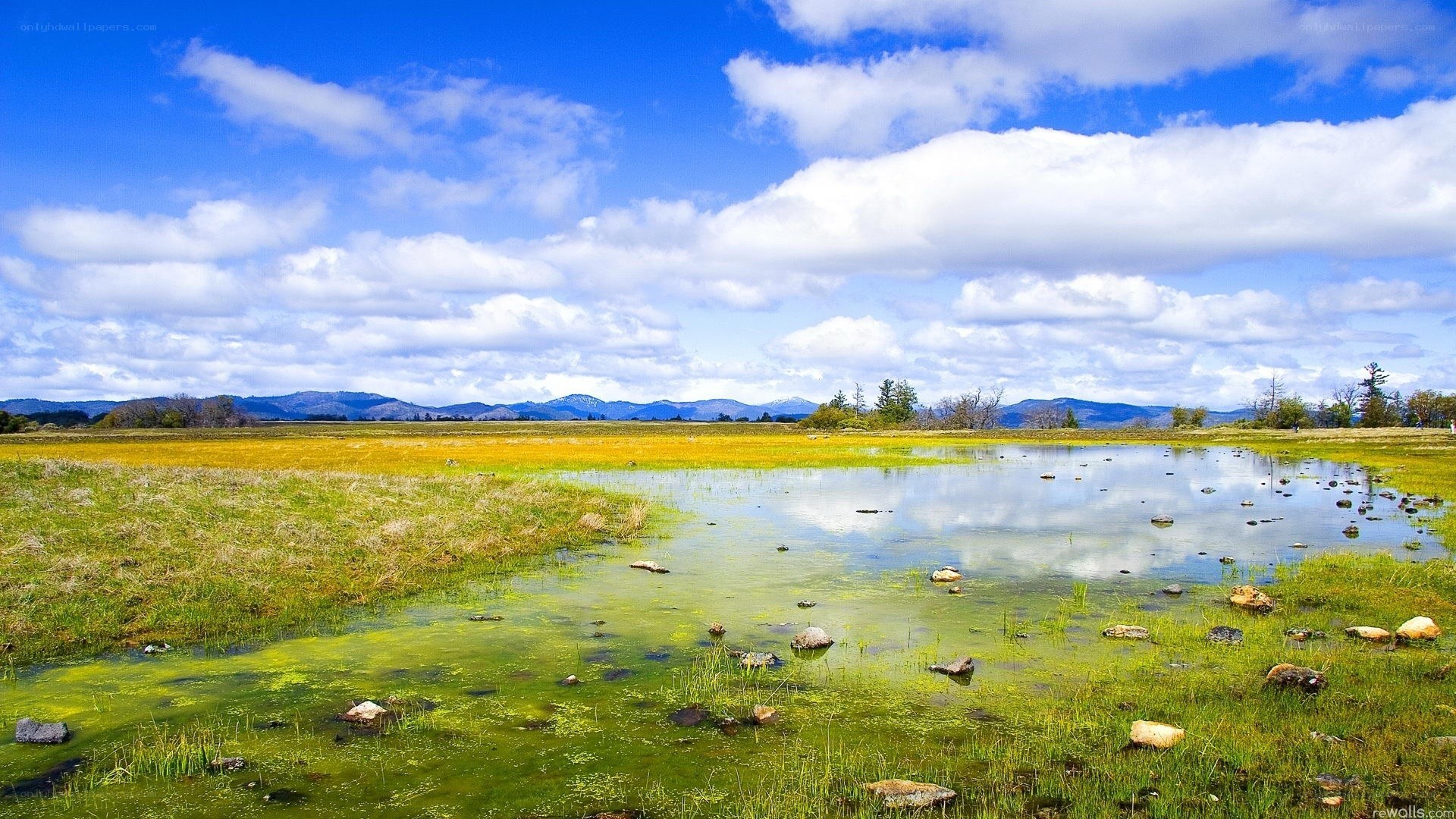 Grassland pond with mountains