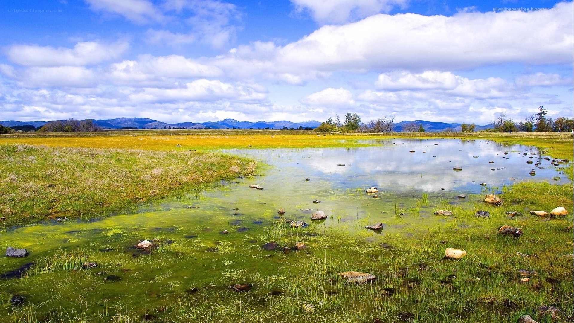 Grassland pond with mountains