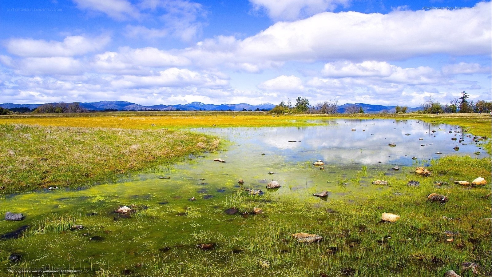 Grassland pond with mountains