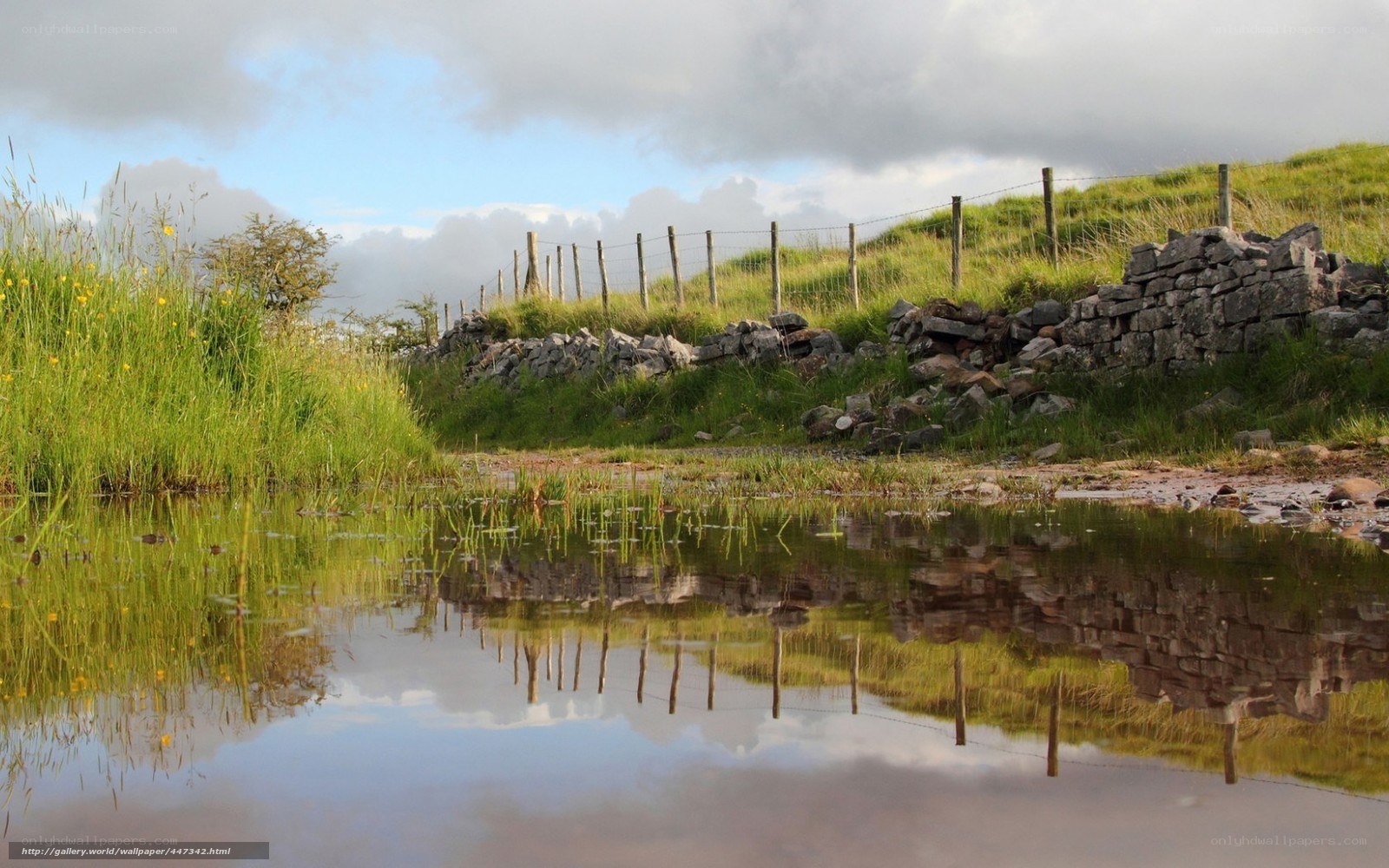 Grassland pond with stone wall