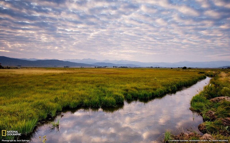 Grassland stream at dawn