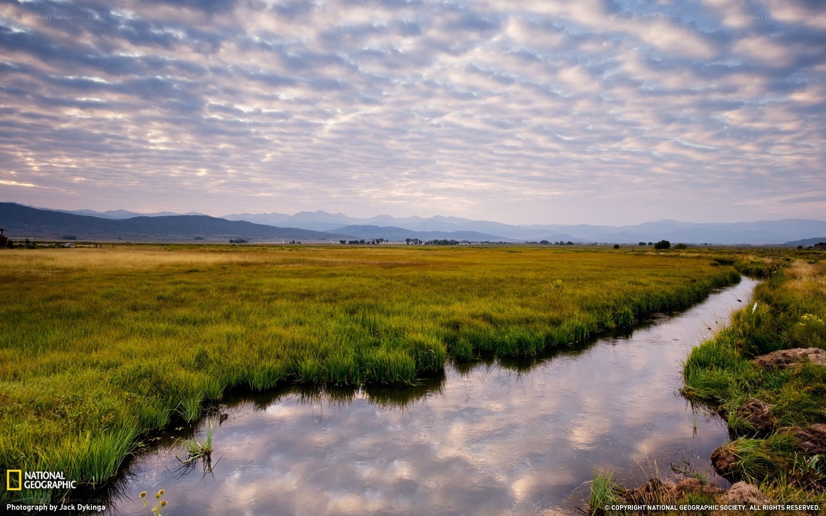 Grassland stream at dawn