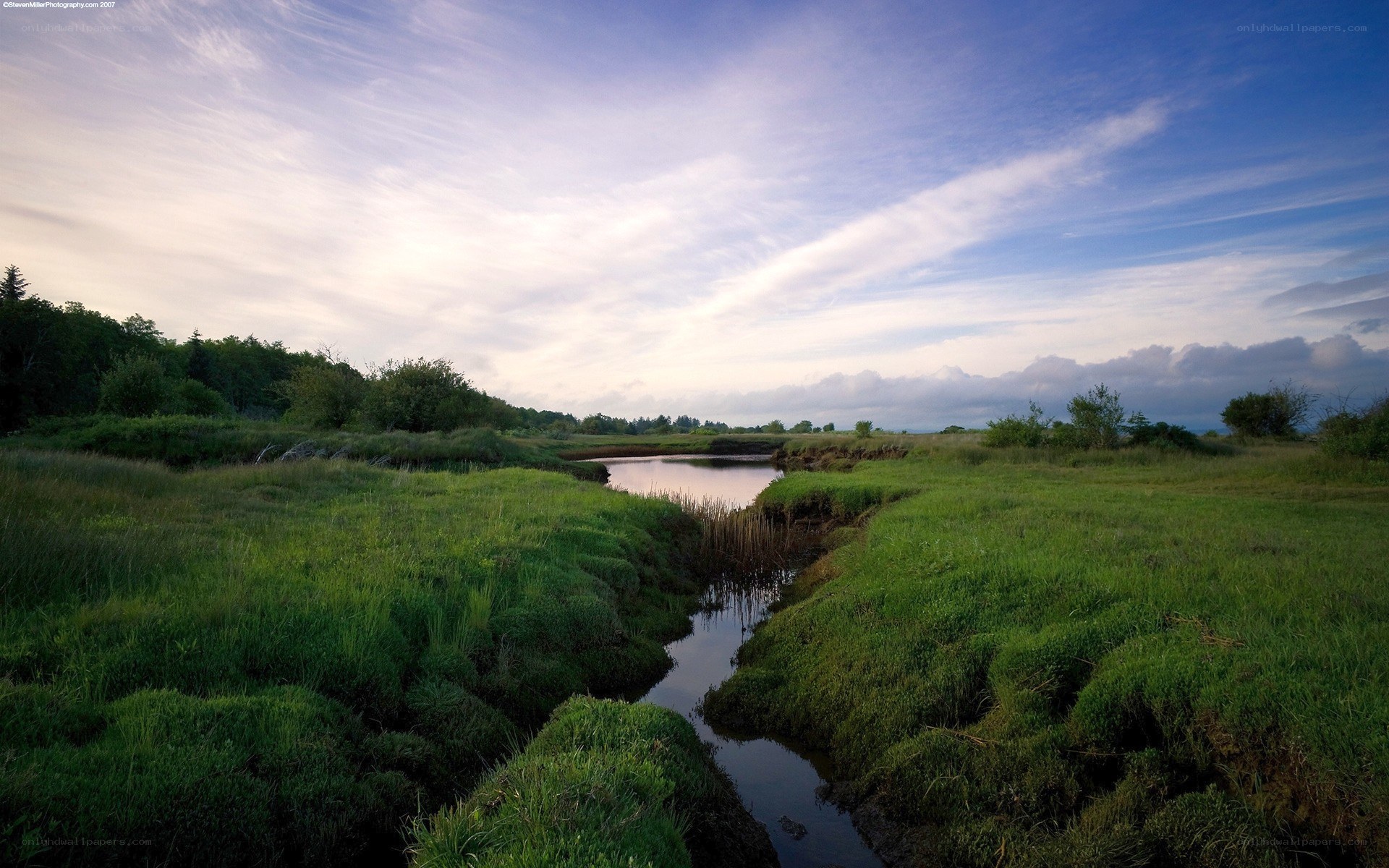 Grassland stream at dusk