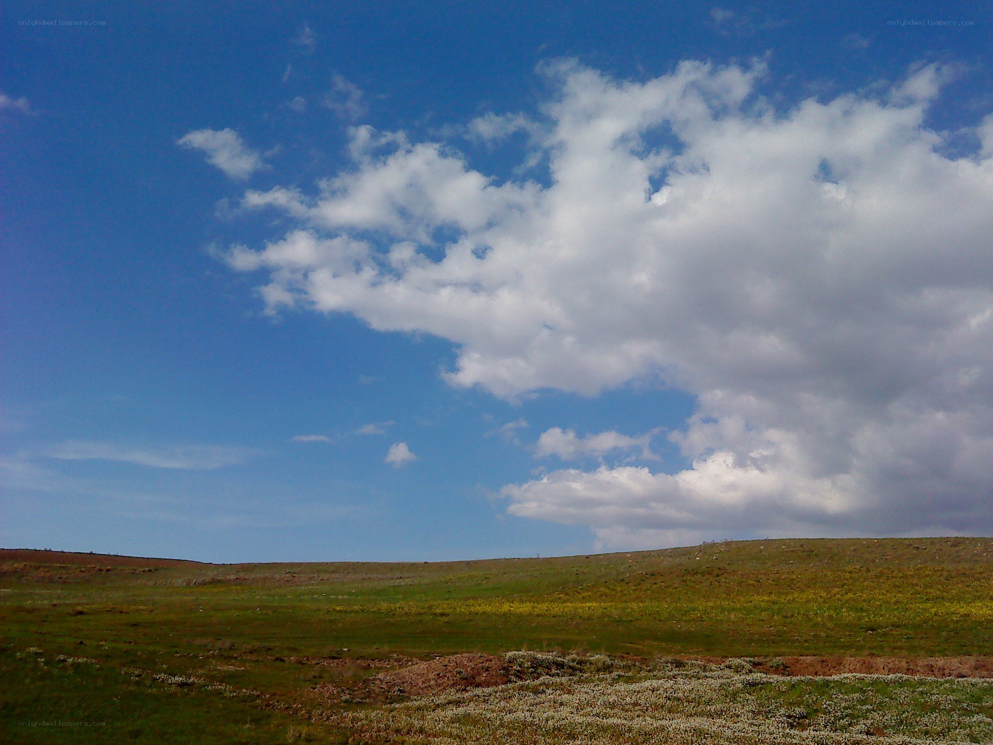Grassland under cloudy sky
