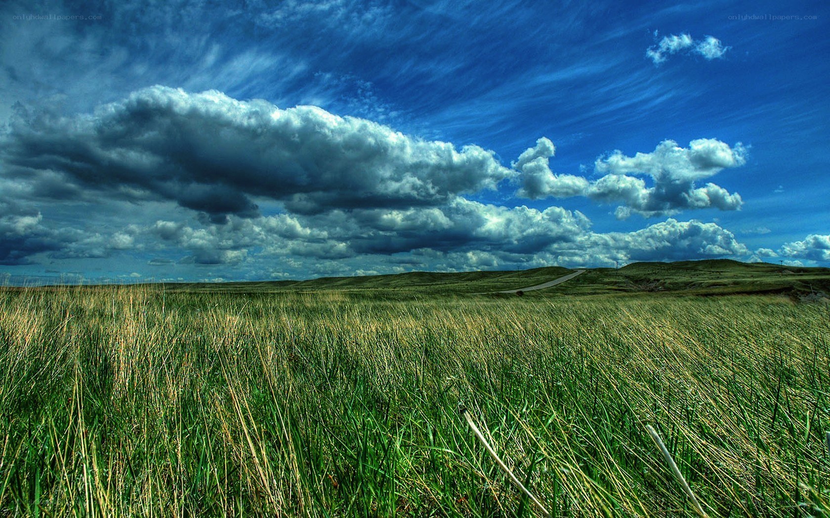 Grassland under dramatic sky