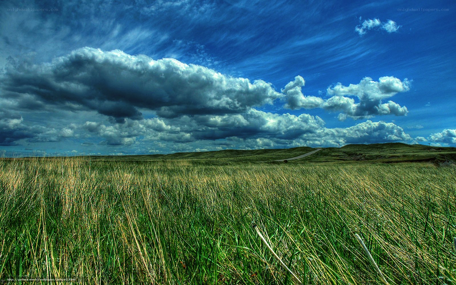 Grassland under dramatic sky