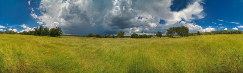 Grassland under stormy sky