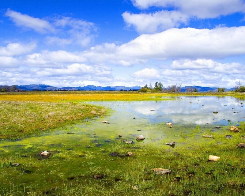 Grassland wetland with mountains