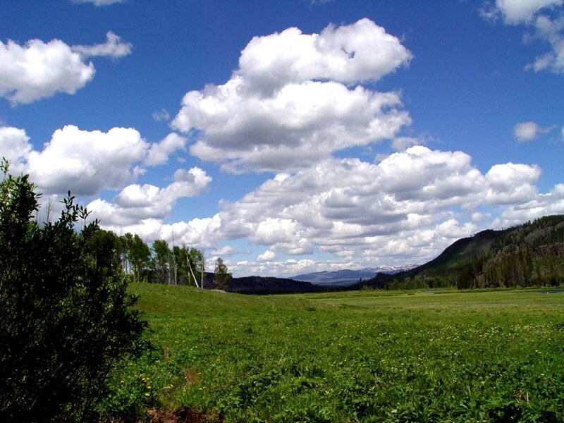 Grassland with clouds and mountains