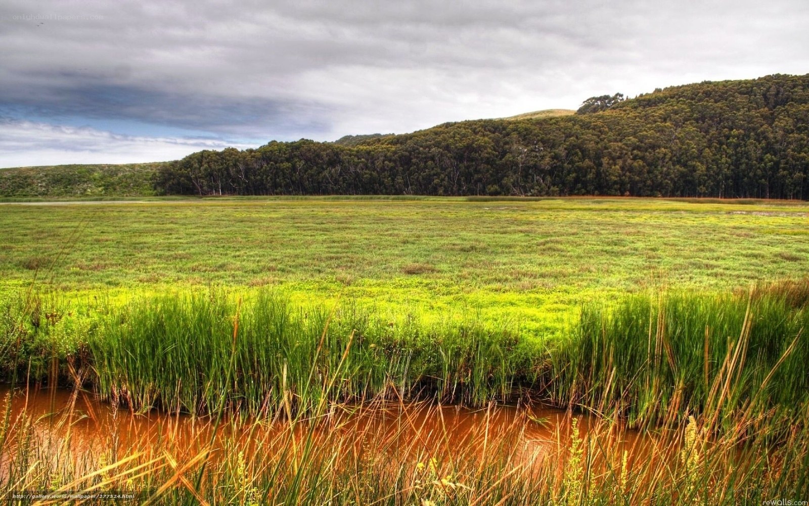 Grassland with forested hills