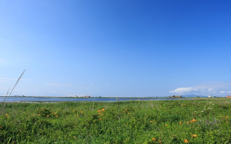 Grassland with lake and blue sky