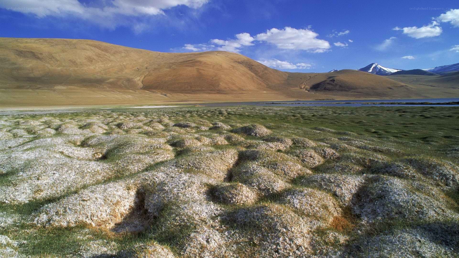 Grassland with mounds and mountains