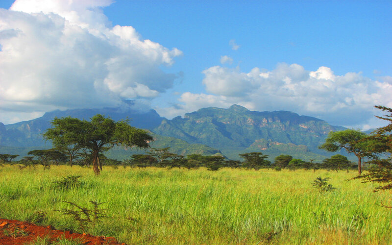 Grassland with mountains in background