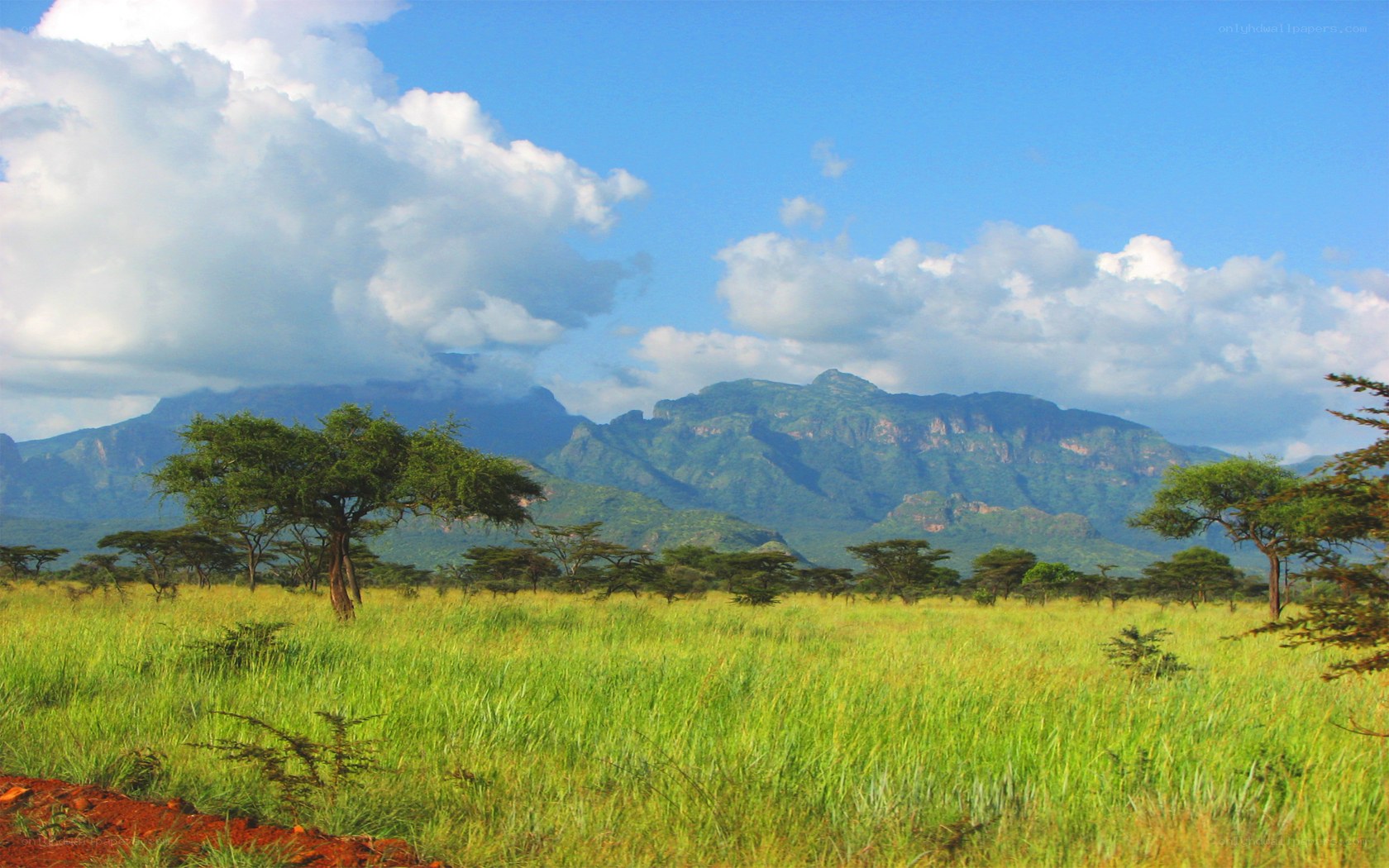 Grassland with mountains in background