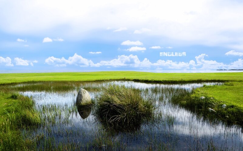 Grassland with pond and stone