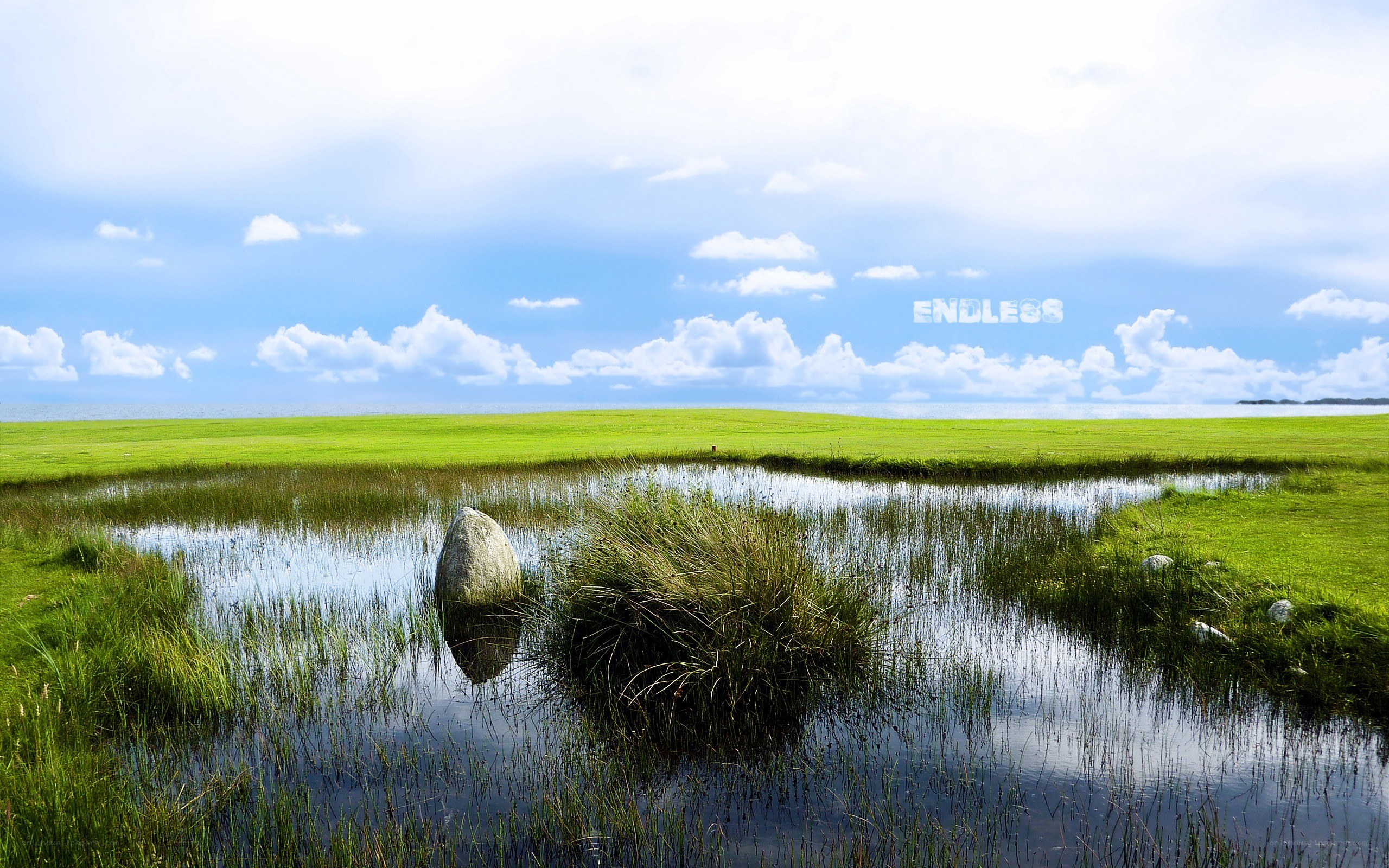 Grassland with pond and stone