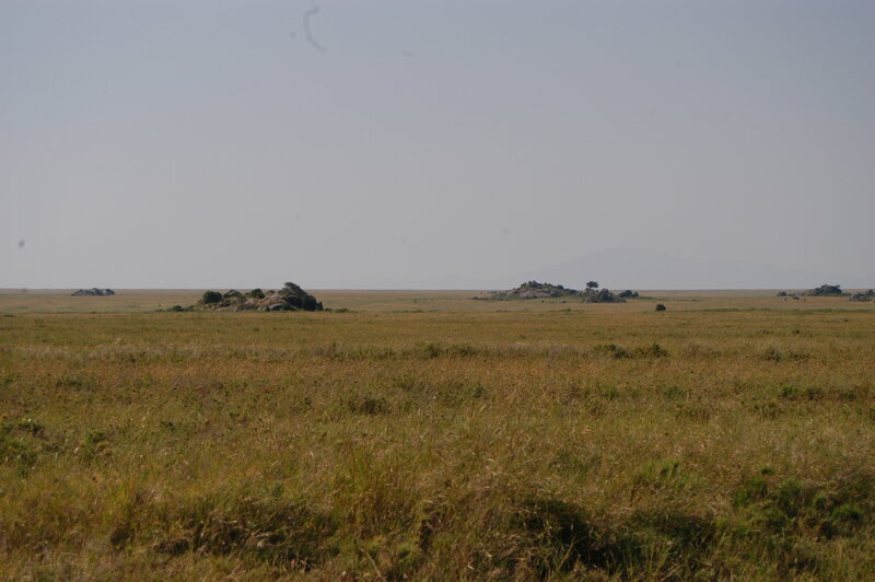 Grassland with rock formations