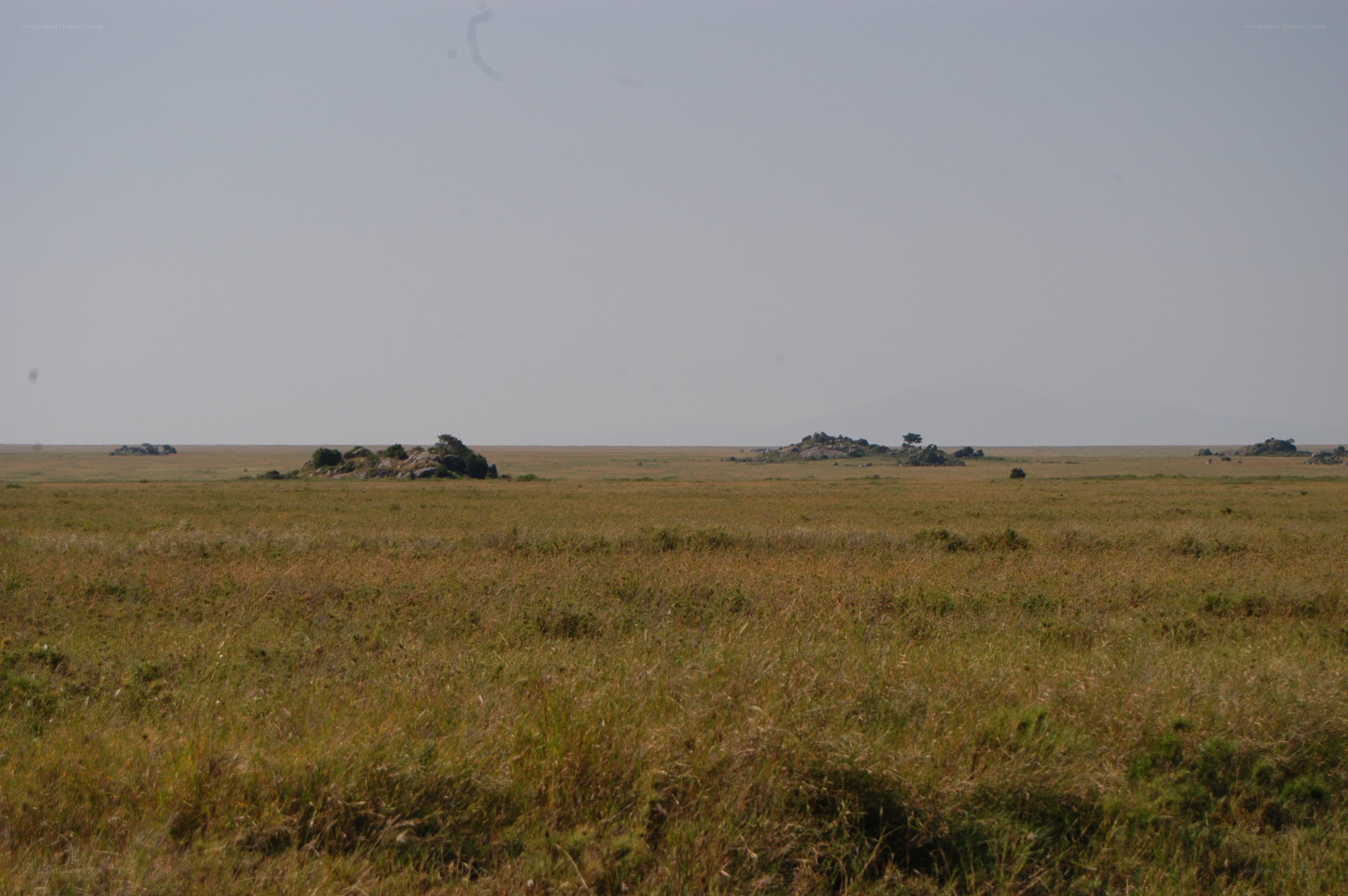 Grassland with rock formations