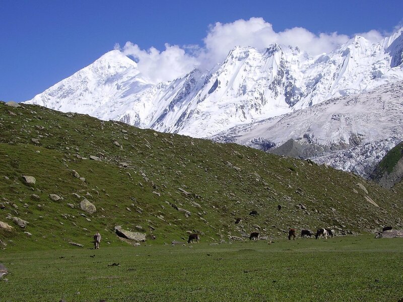 Grassland with snow-capped mountains