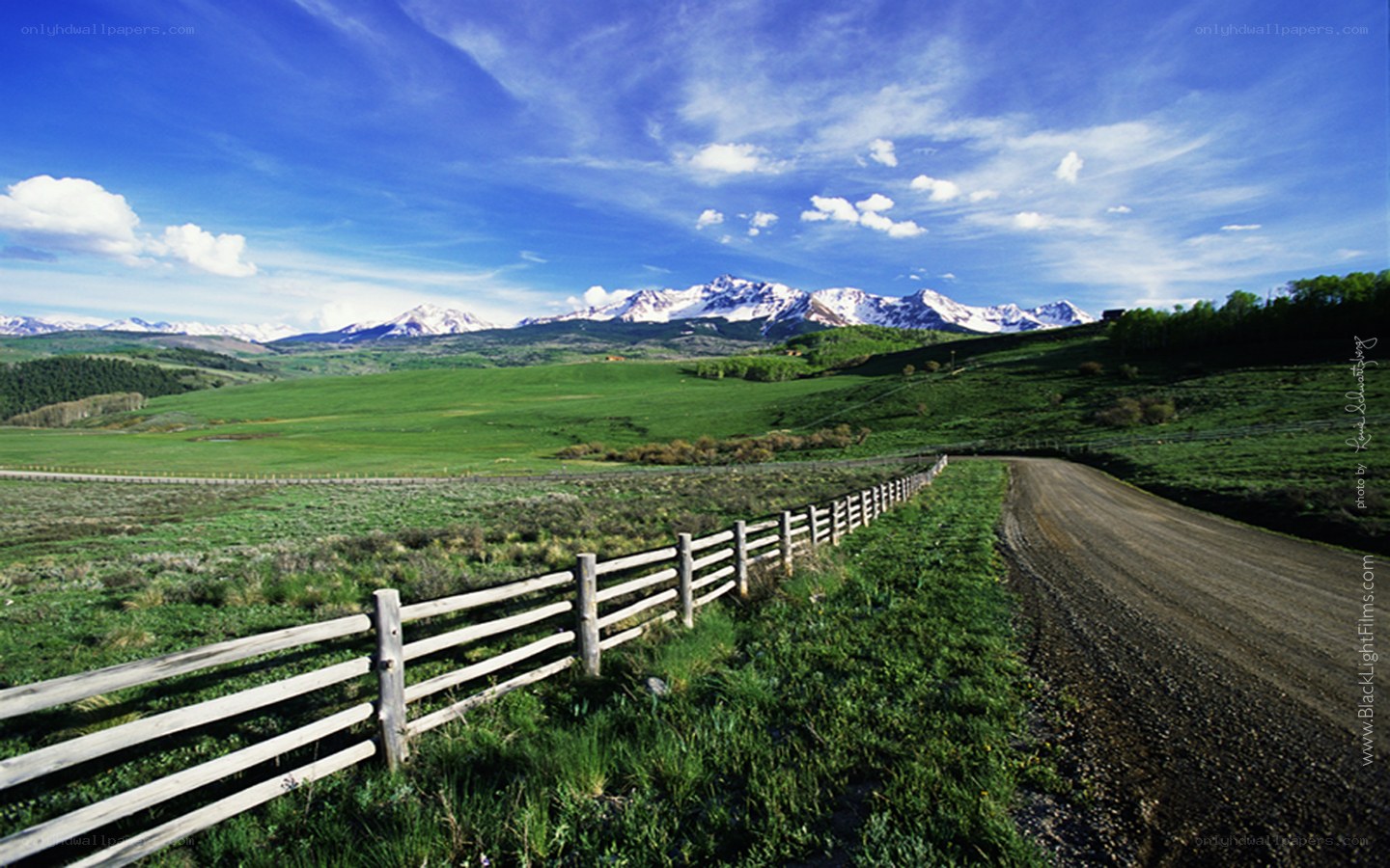 Grassland with snow-capped mountains