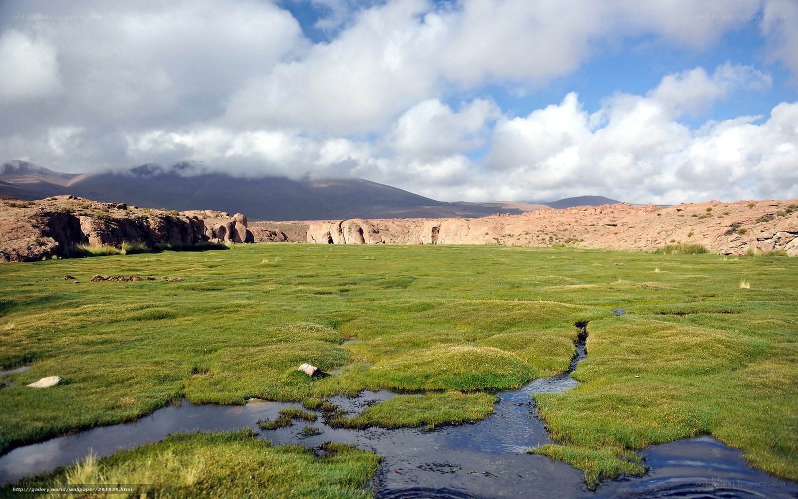 Grassland with stream and mountains