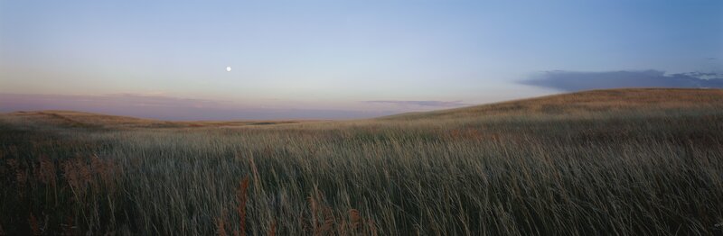 Grasslands at dusk with moon