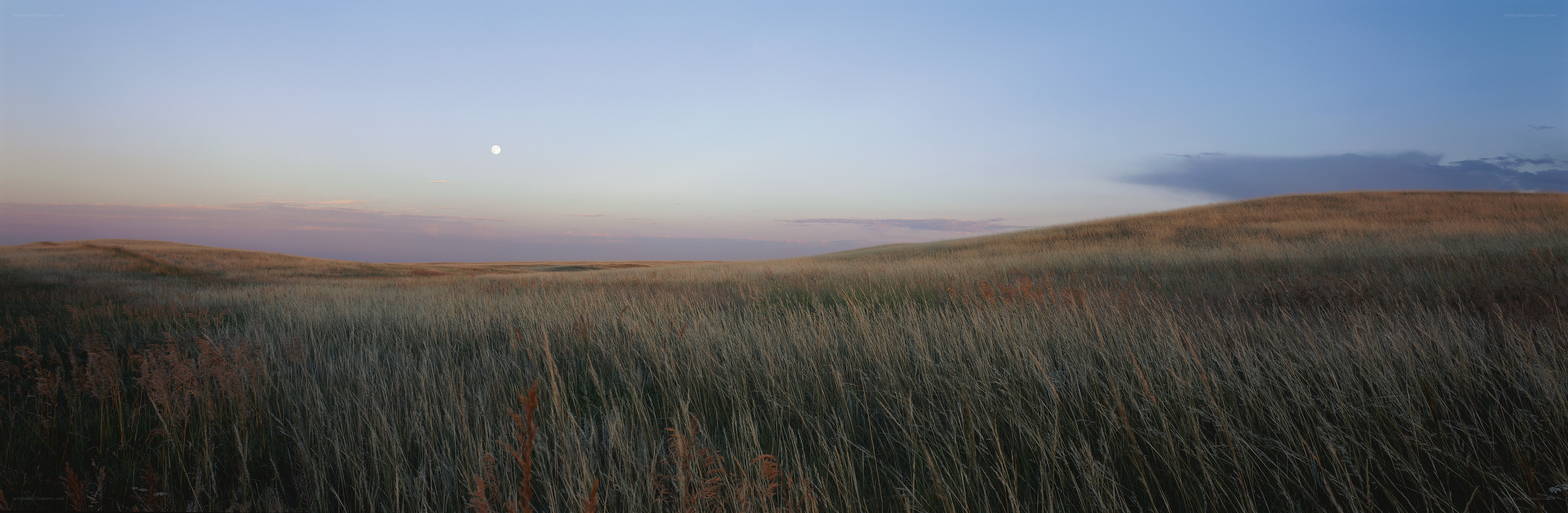 Grasslands at dusk with moon