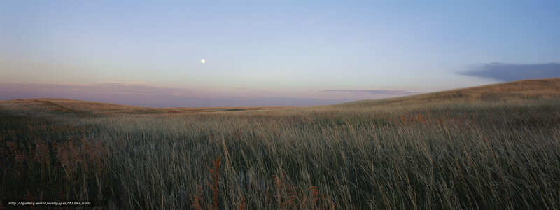 Grasslands at dusk with moon
