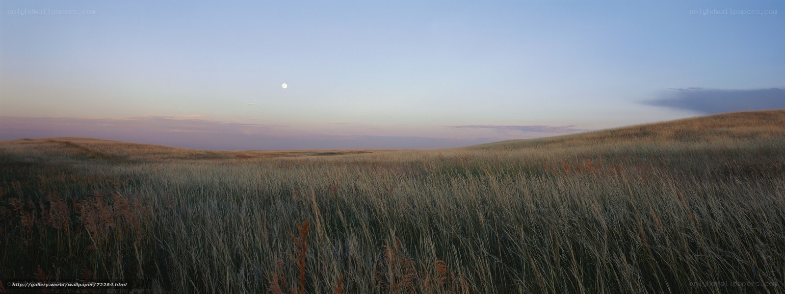 Grasslands at dusk with moon