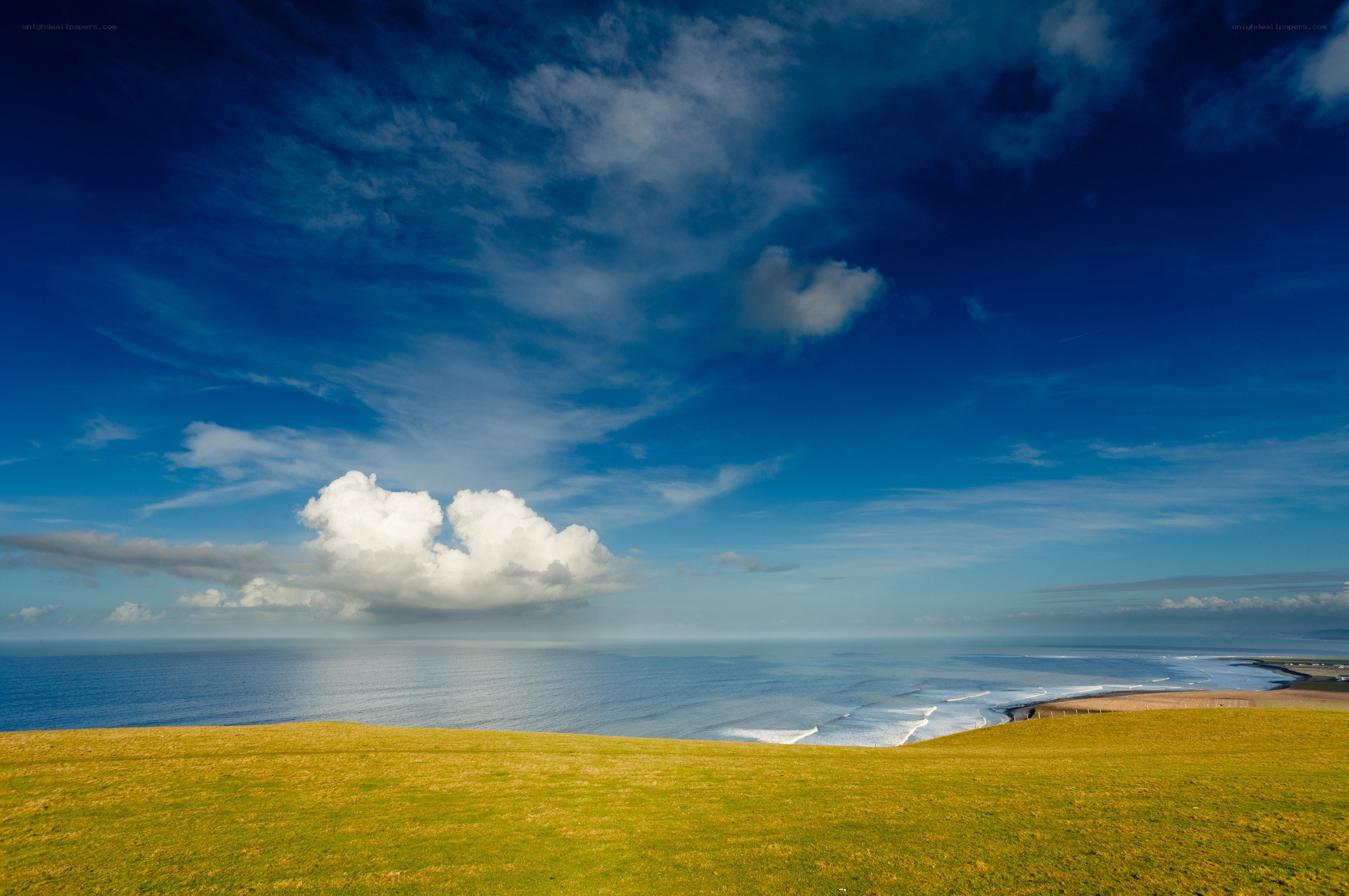 Grassy cliff overlooking the sea