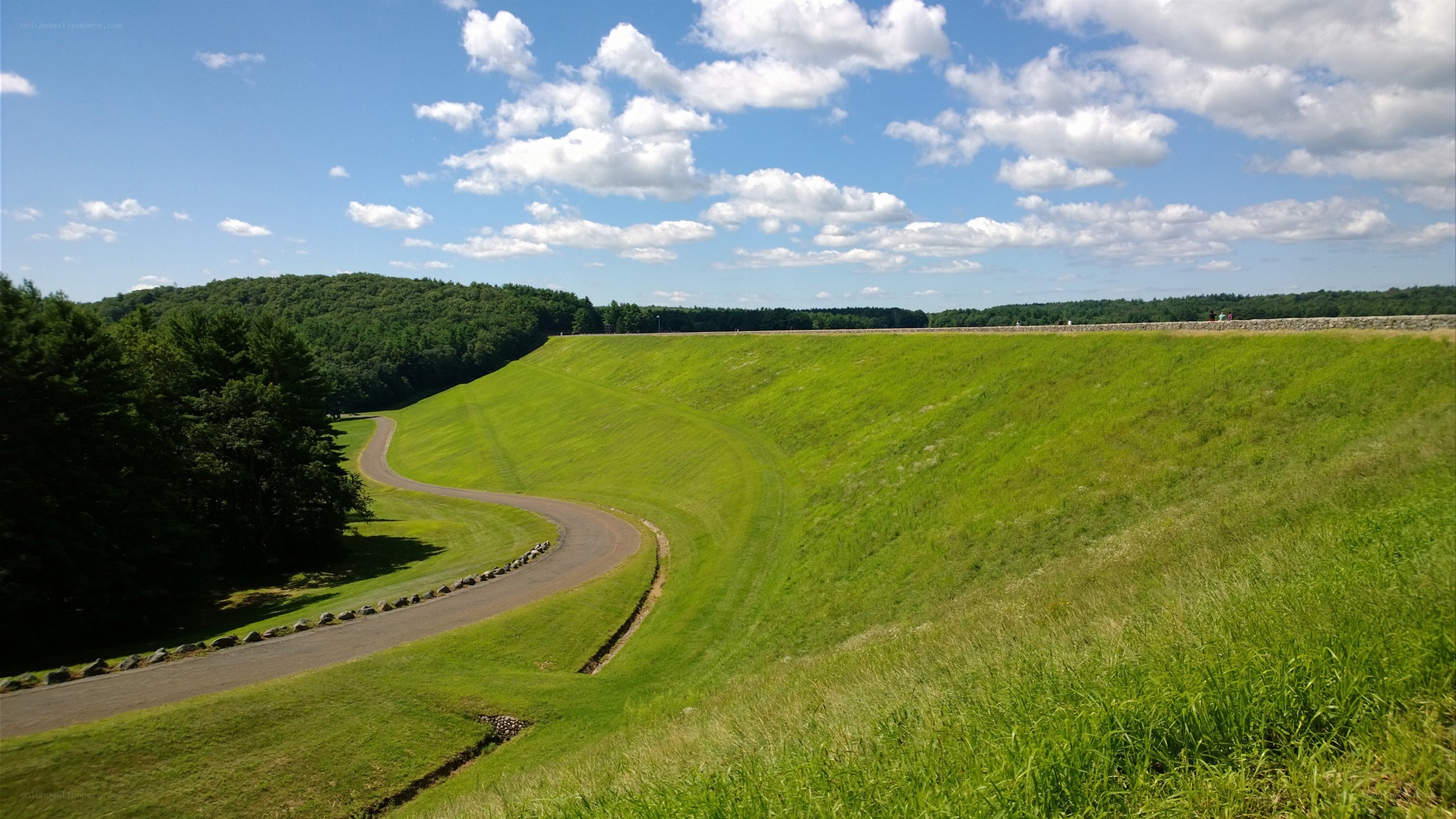 Grassy dam with winding road