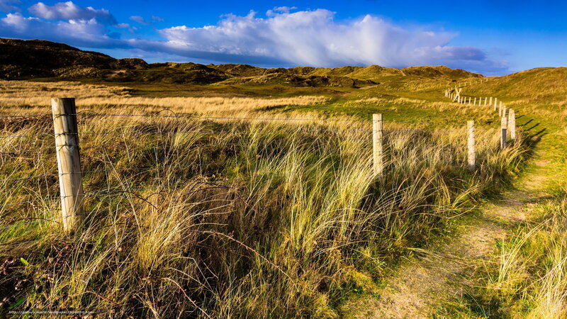 Grassy dunes with fence path