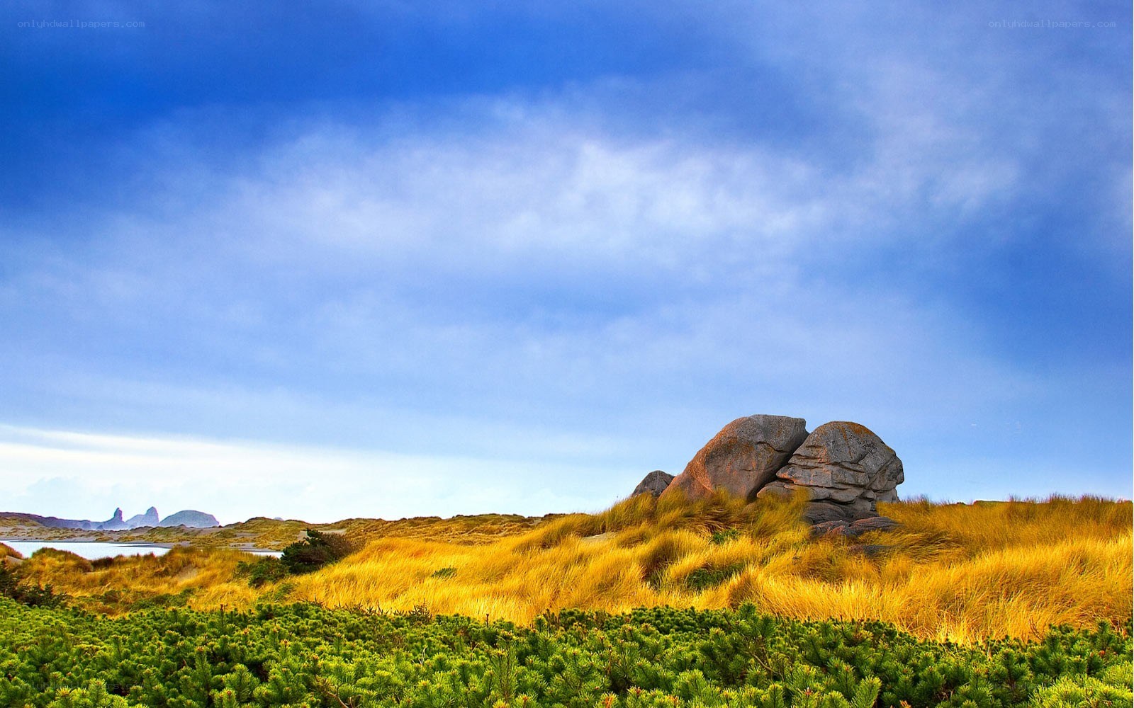 Grassy dunes with rock formation