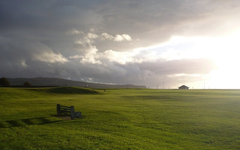 Grassy field at sunset